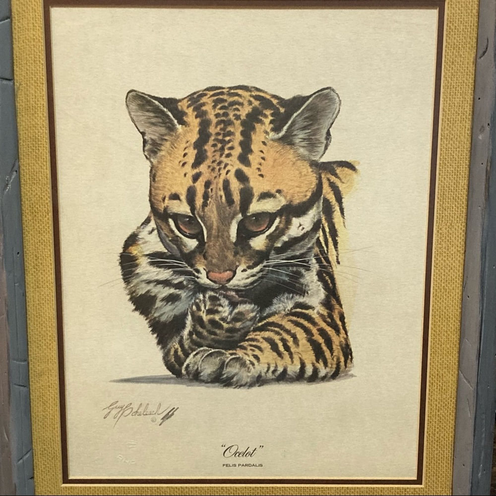 Guy Coheleach Ocelot Print Matted & Framed Grey Rustic Farmhouse w/ Matte Glass